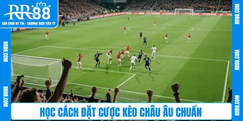 Học cách đặt cược kèo Châu Âu chuẩn