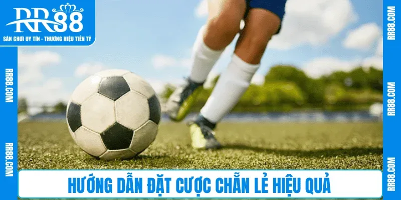 Hướng dẫn đặt cược chẵn lẻ hiệu quả