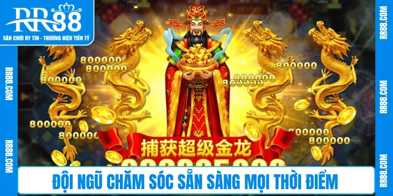 Đội ngũ chăm sóc sẵn sàng mọi thời điểm