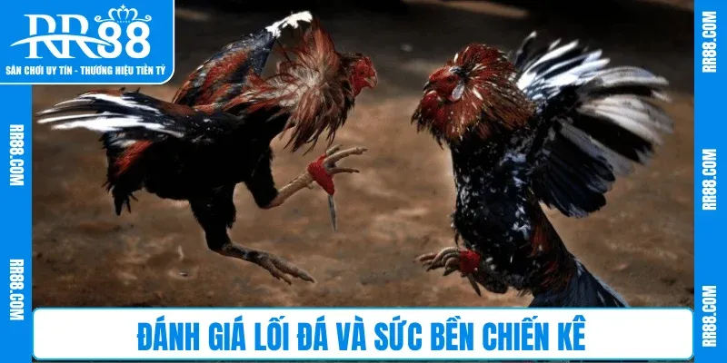 Đánh giá lối đá và sức bền chiến kê