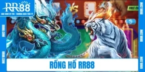 Rồng Hổ RR88 – Thử Vận May, Hứng Thưởng Nhanh Chóng