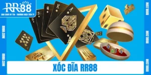 Khám Phá Xóc Đĩa RR88 – May Mắn Bùng Nổ Từng Ván